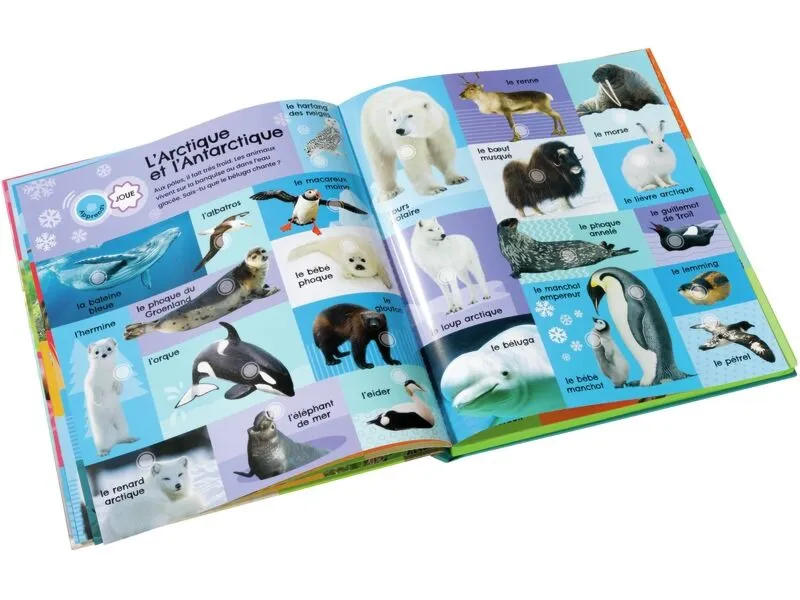 Livre Sonore Portugais Anglais, Livre Sonore Portugais Anglais pour Enfants Bilingues Alphabet Chiffres Animaux Fruits Légumes Livre Éducatif de Lecture Sonore