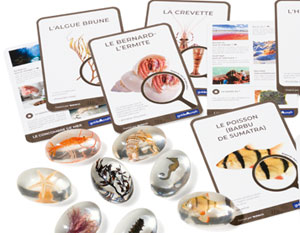 voir les GALETS D GALETS D