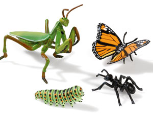 voir les FIGURINES LES INSECTES FIGURINES LES INSECTES