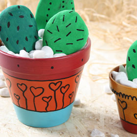 Drôles de cactus